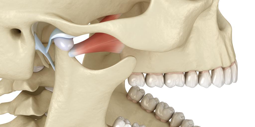Maple Grove Chiropractor May Help TMJ