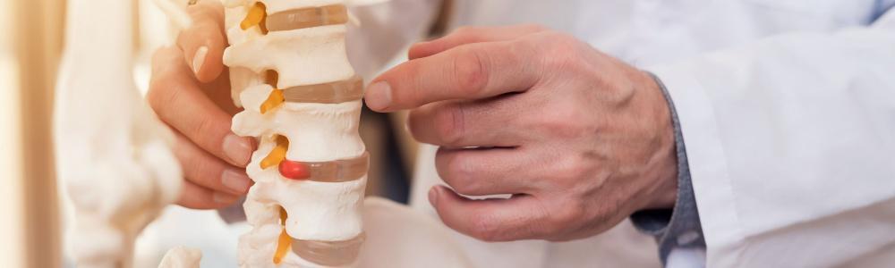 Auto Accident Chiropractors Near Me Dayton, MN | Whiplash Treatment | Chiropractice Adjustment Near Dayton