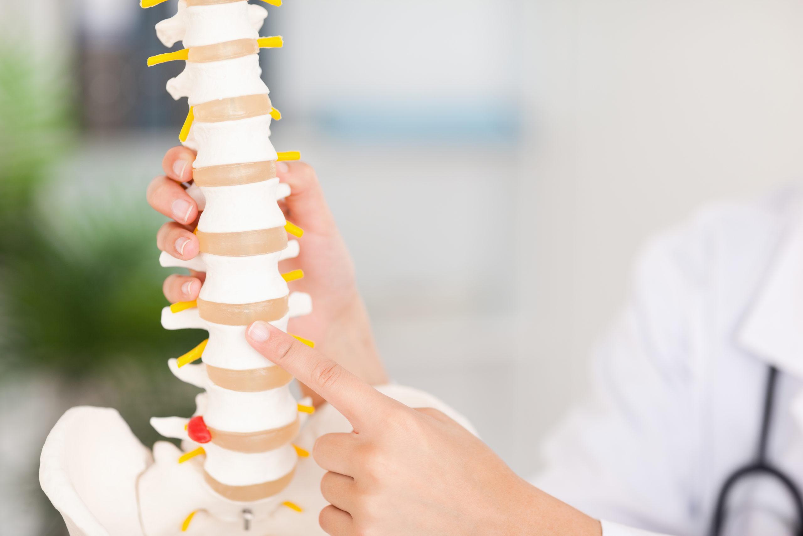 best chiropractor minnesota