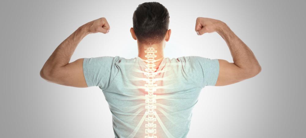 Work Injury Treatment Anoka, MN | Chiropractor | Pain Relief Near Anoka